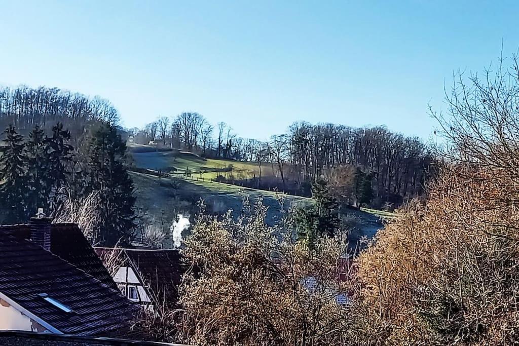 Kleine, Gemuetliche Dachgeschosswohnung Laudenbach  Eksteriør billede